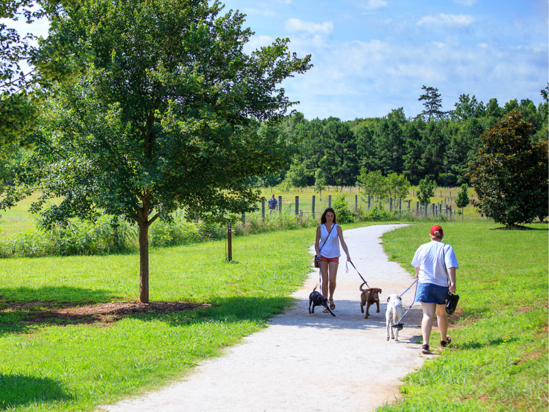 Southeast Clarke Park 6