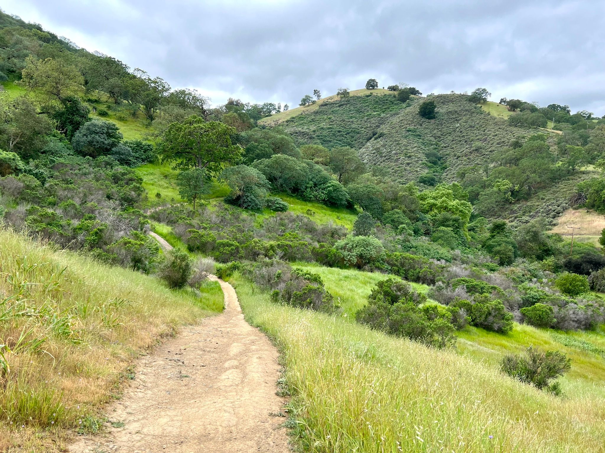 Santa Teresa County Park9