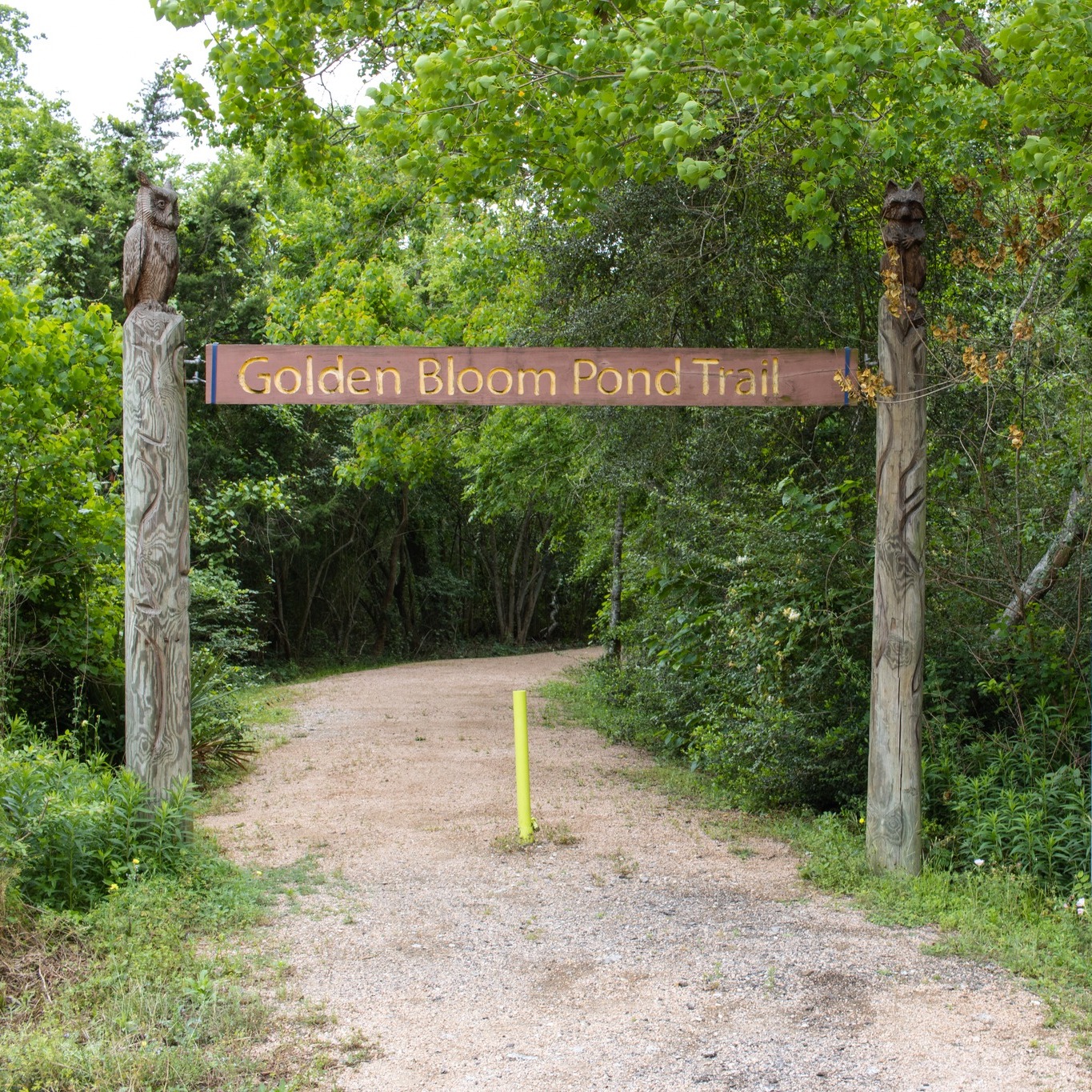 trailenterance.jpg