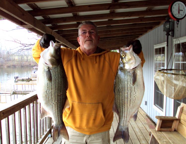 Guist Creek Lake & Marina