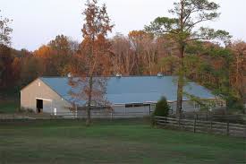 rose farm horse center