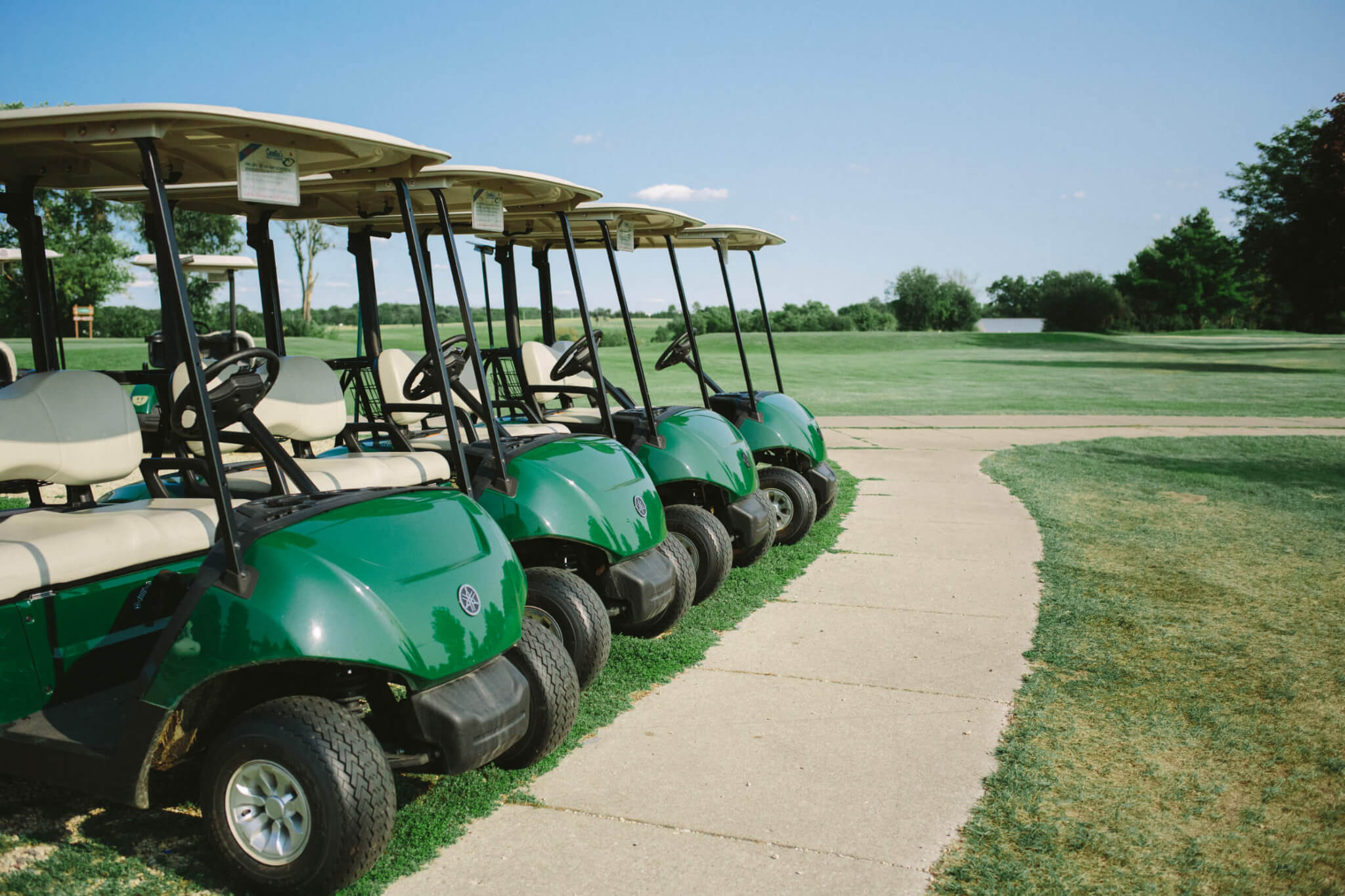 Cecelia's Golf Course5