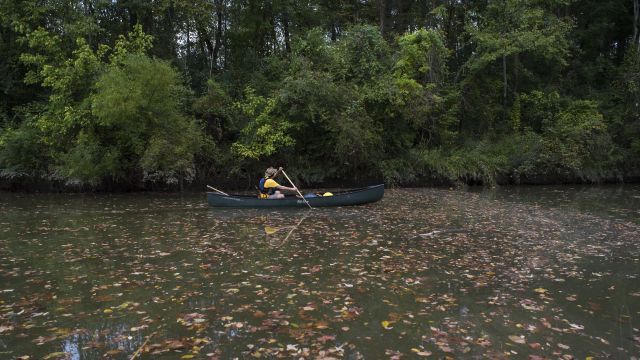 Alabama Scenic River Trail2