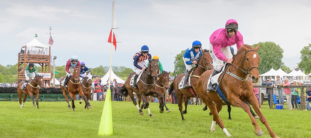 The Willowdale Steeplechase4