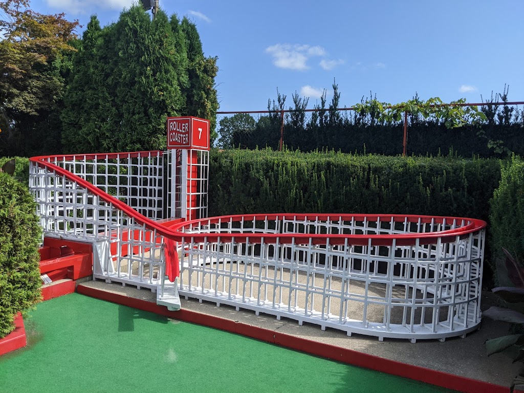 Par-King Skill Golf 3