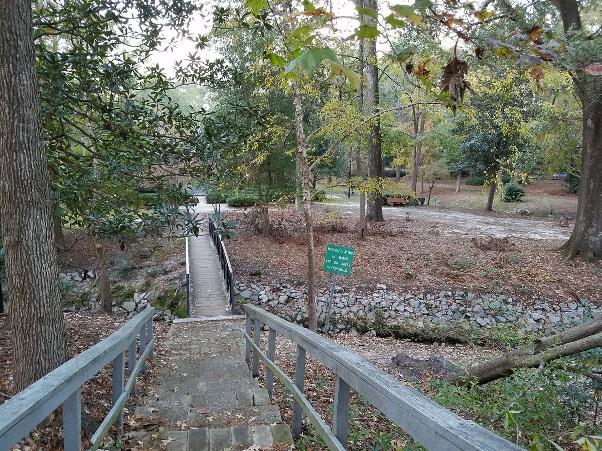 Timrod Park - Trail