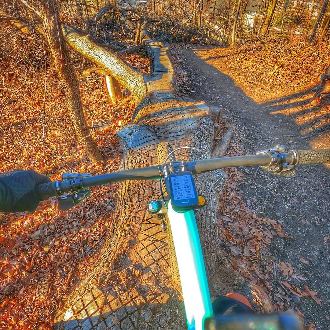 Sacred Rides Michaux10