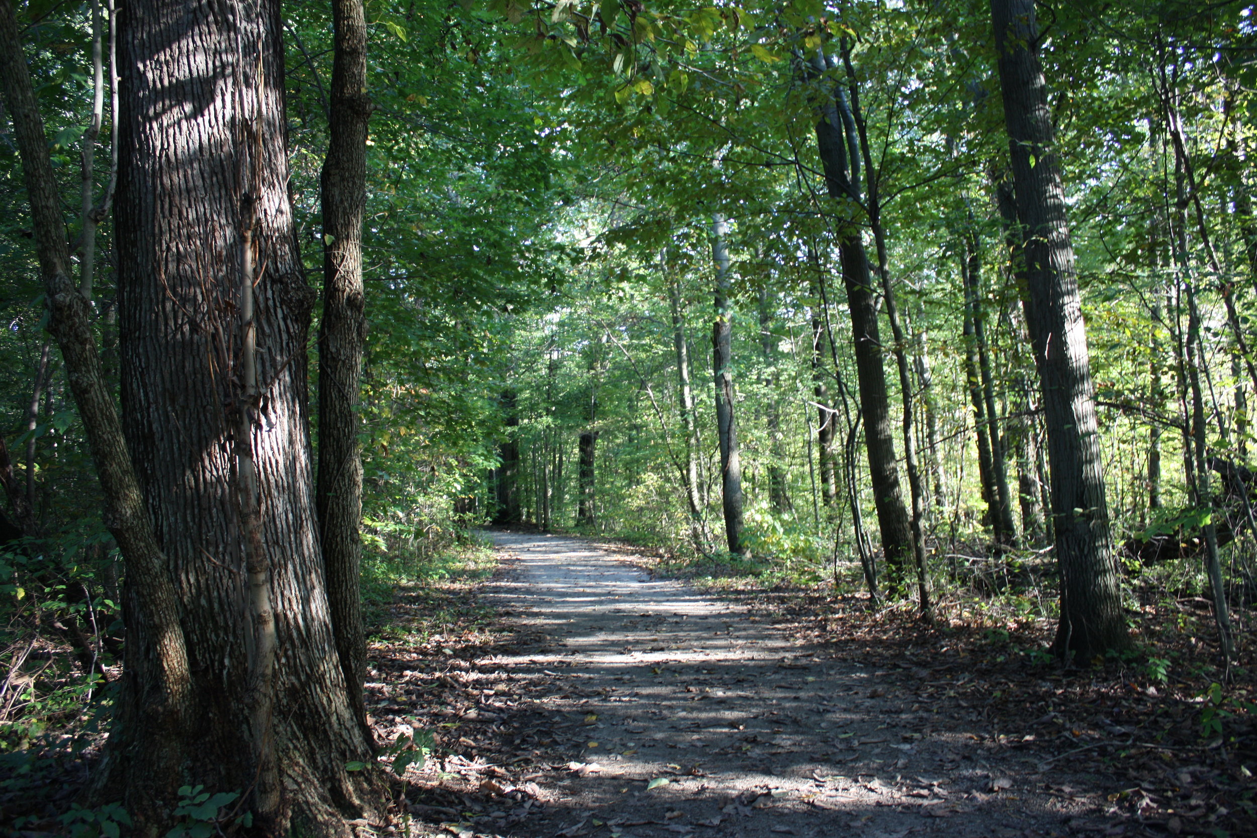 Indian Hollow Reservation6