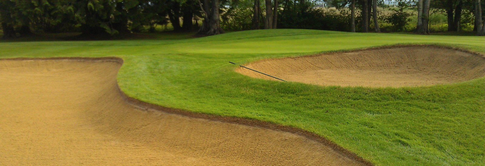 skagit country club golf course.gif