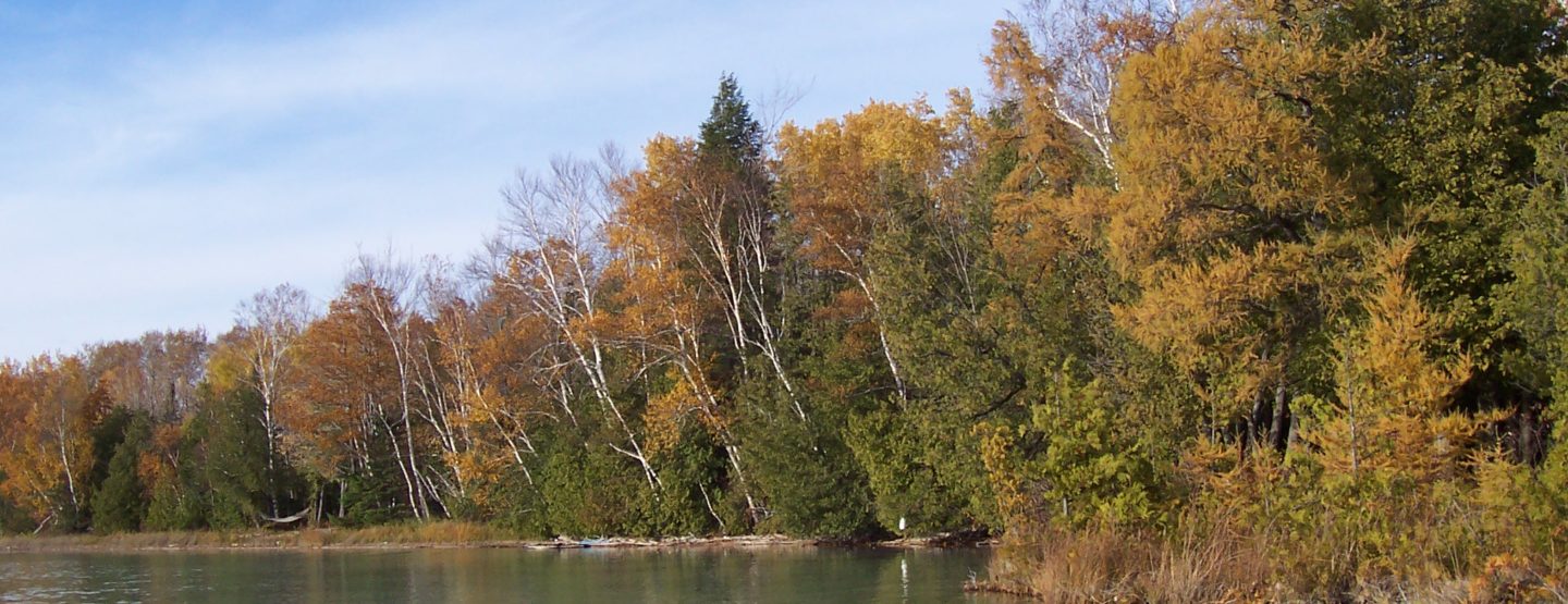 Teichner Preserve 1