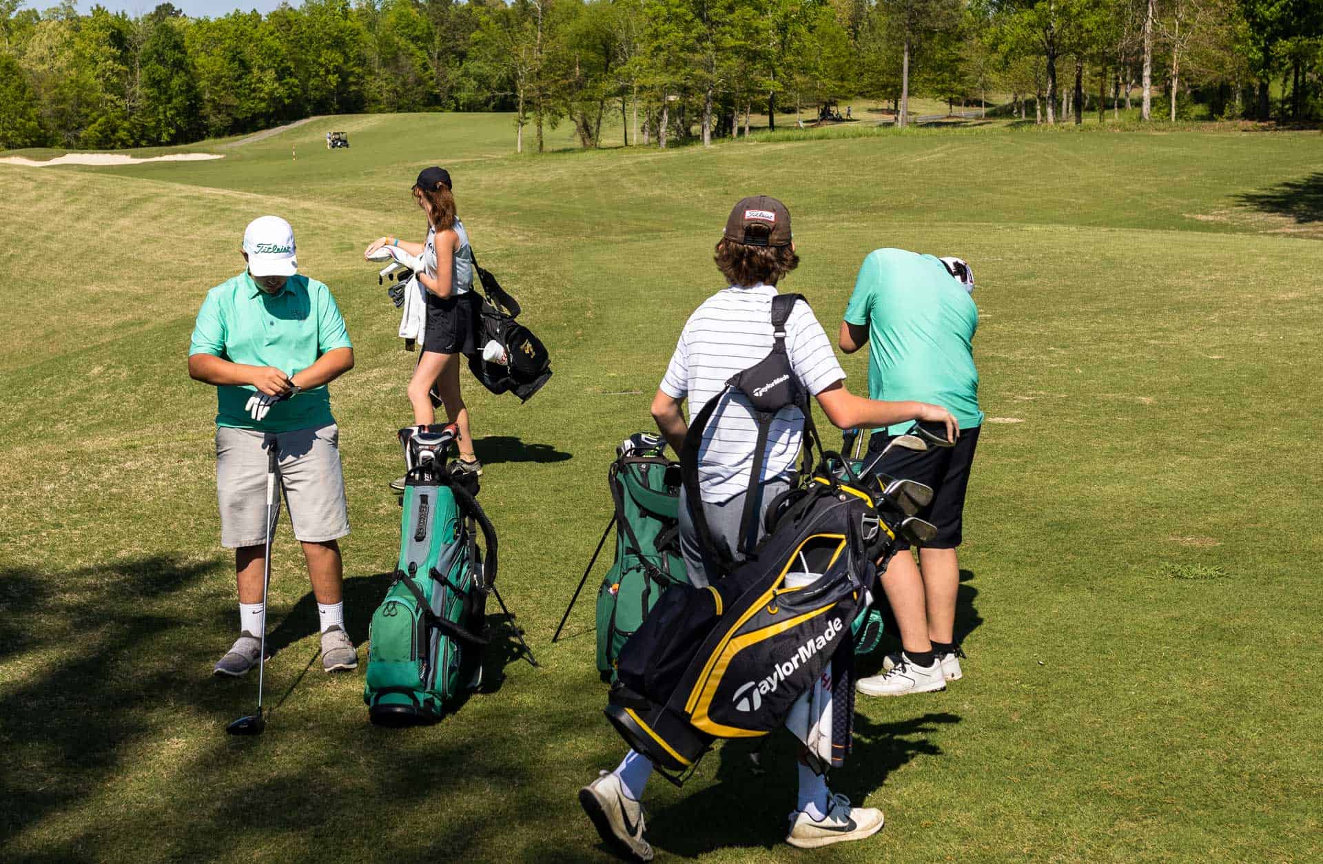 links at briarmeade 4