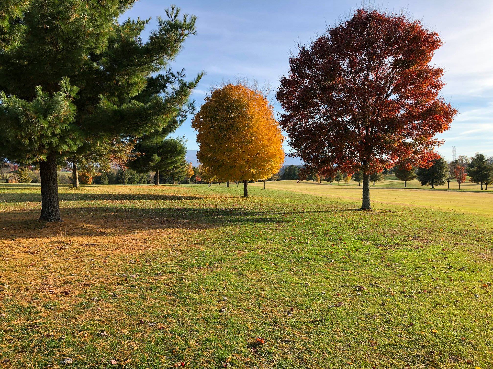 Twin Creeks Golf Course8