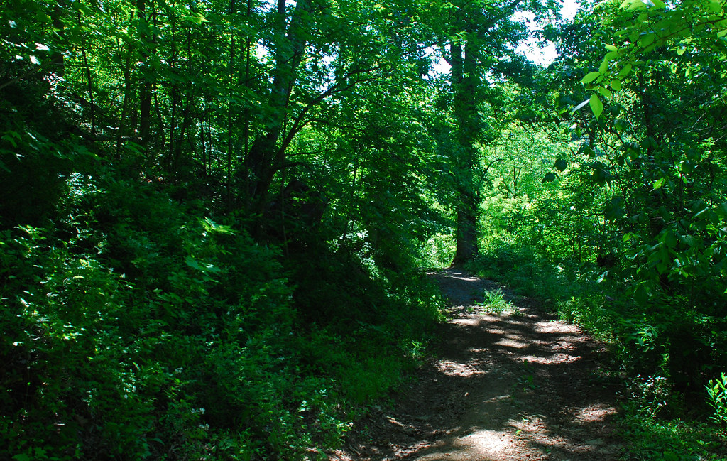 Broughtons Nature and Wildlife Education Area3