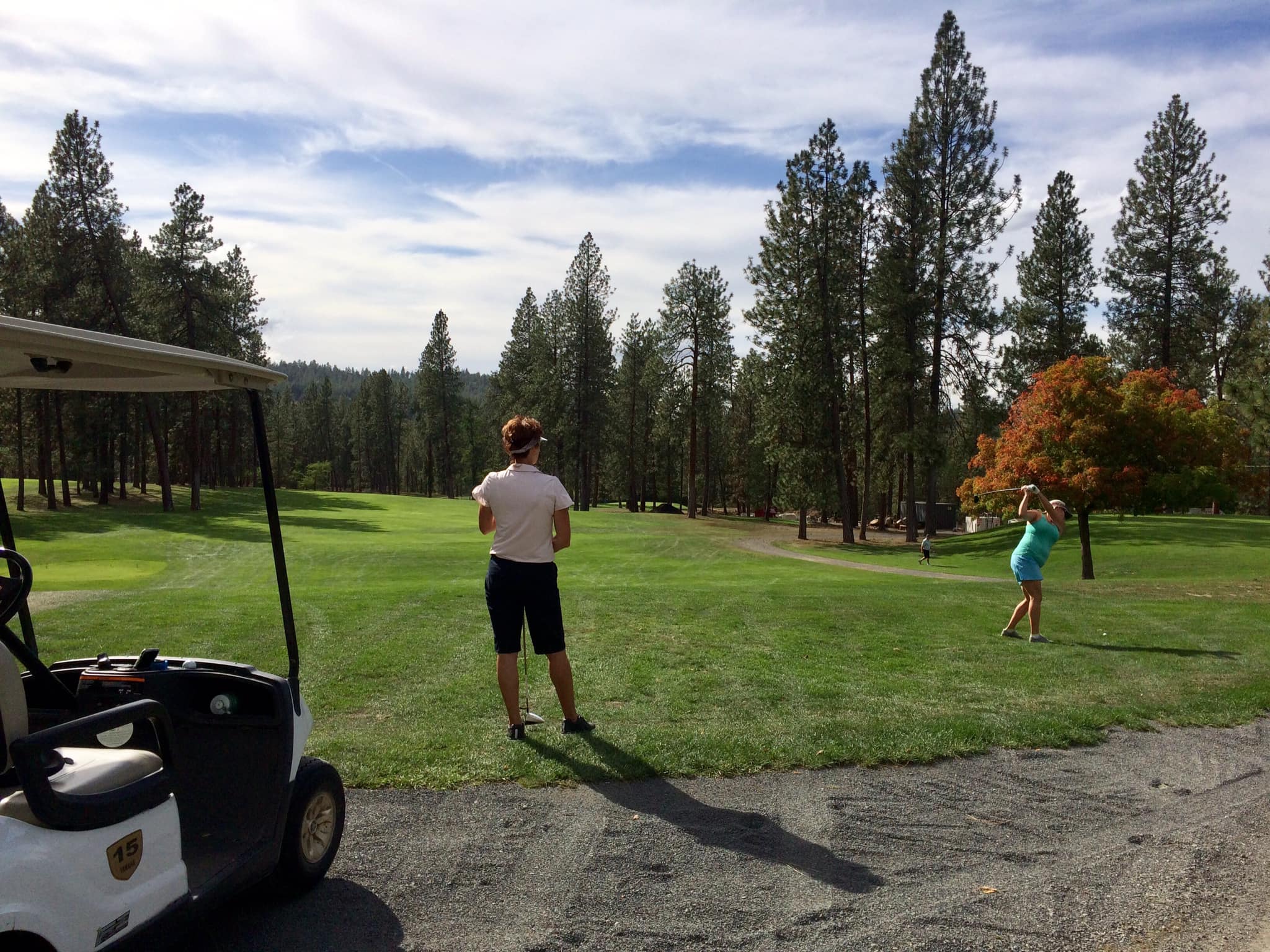 Downriver Golf Course 3