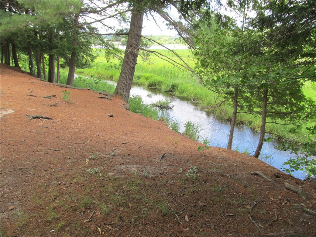Cedar River Natural Area 4