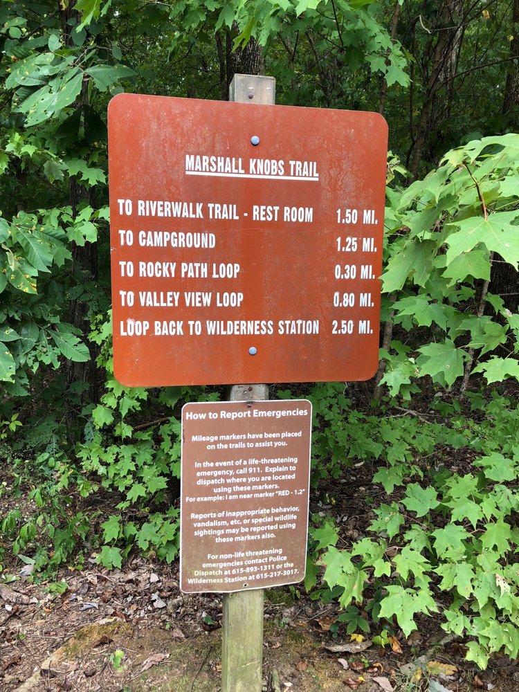 Barfield Crescent Park4