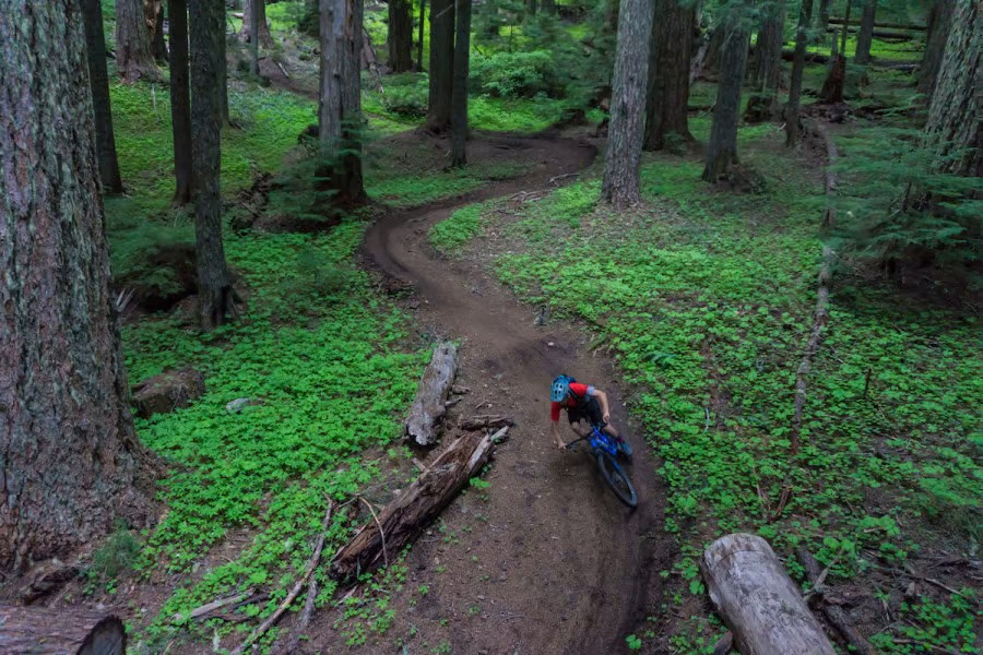 Alpine Trail5