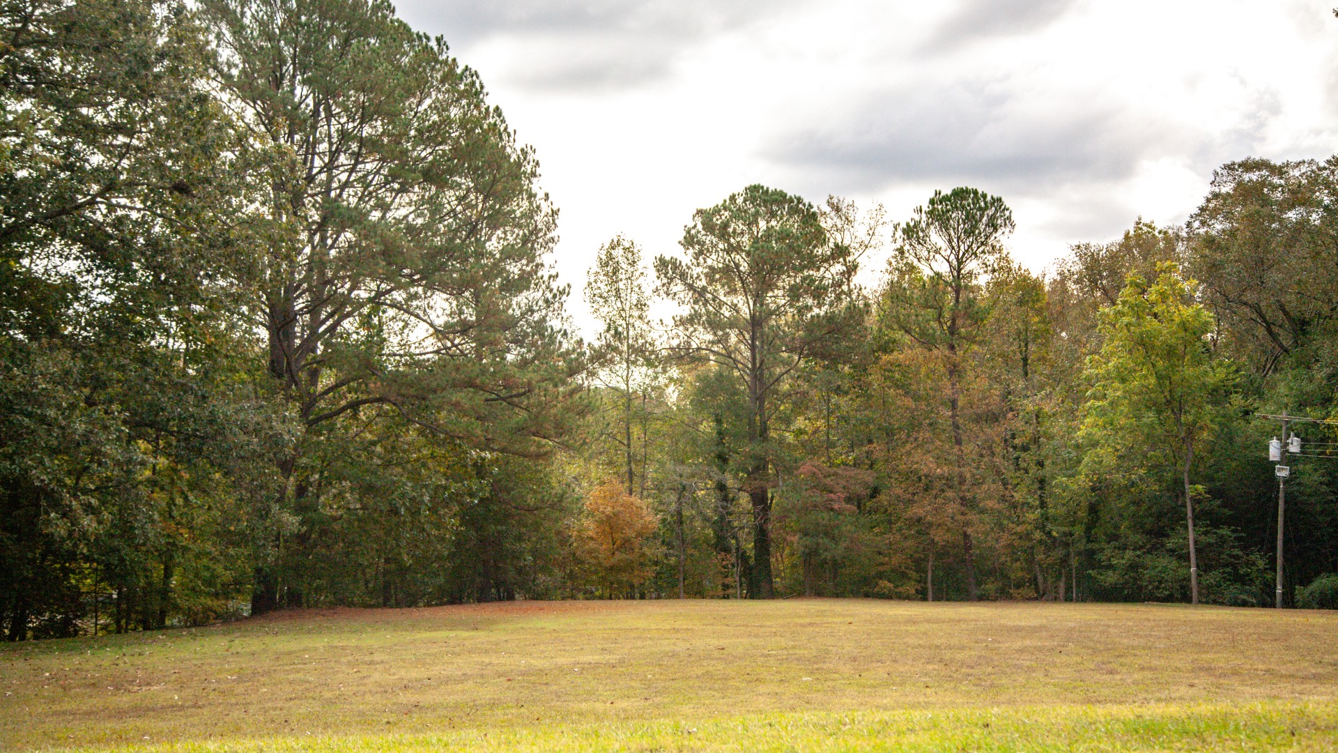 Brentwood 2