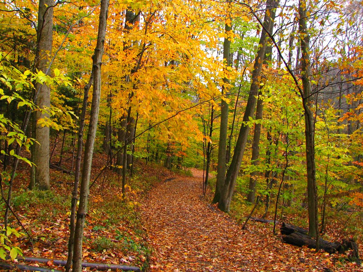 Baltimore Woods Nature Center 2