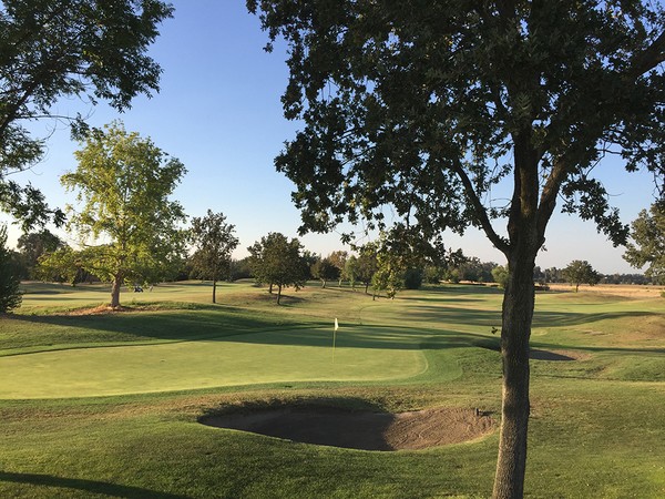 valley oaks visalia