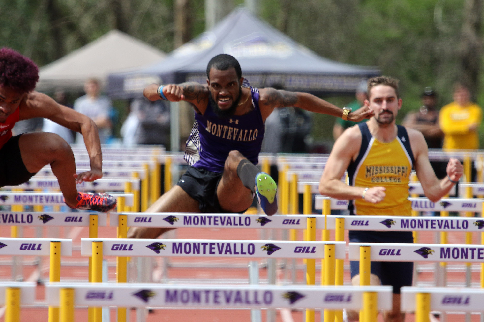 University of Montevallo13