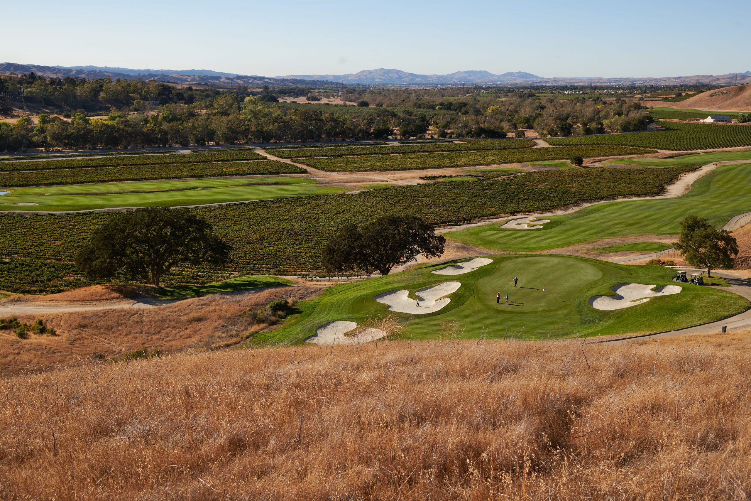 The Course at Wente Vineyards5