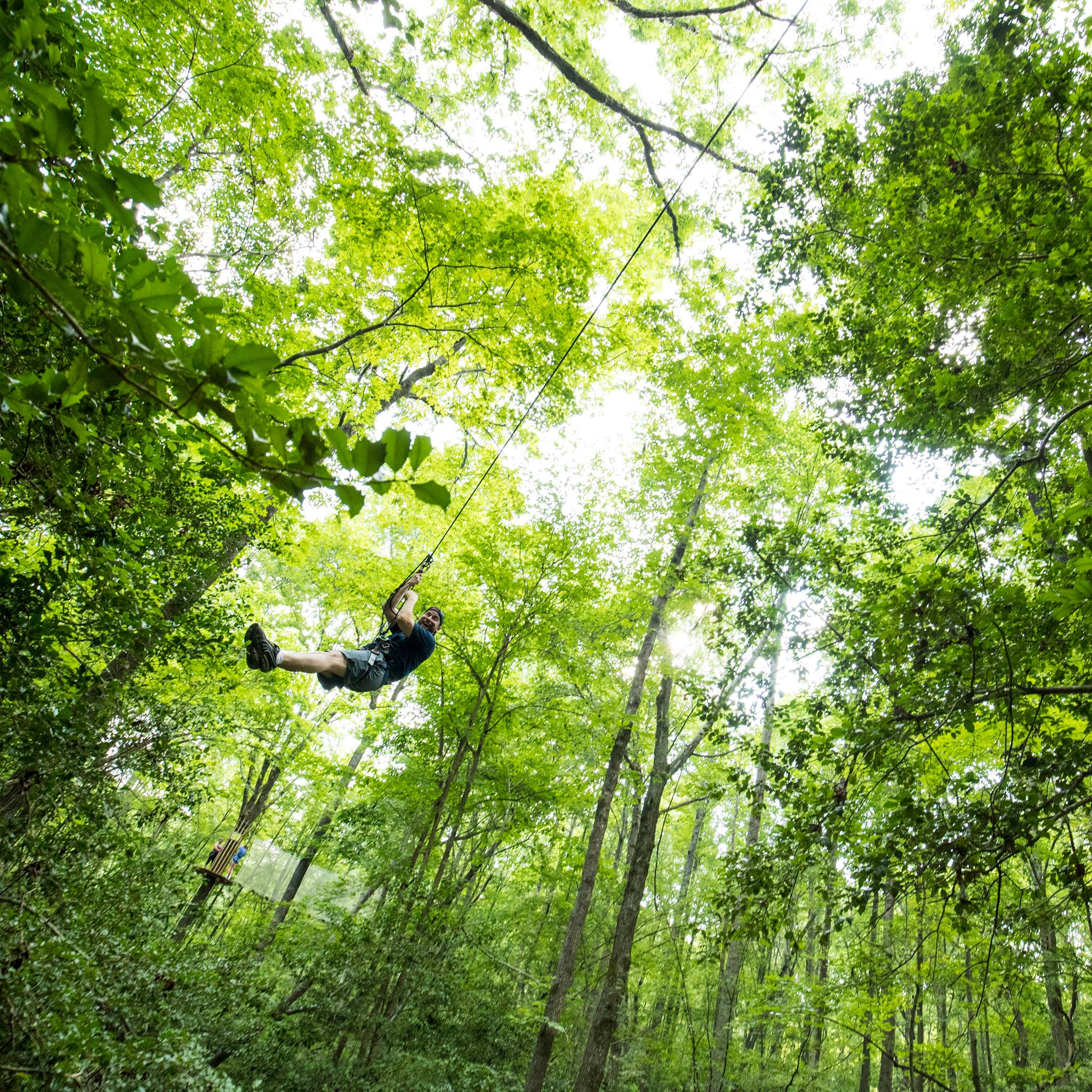 Go Ape Treetop Adventure Course2