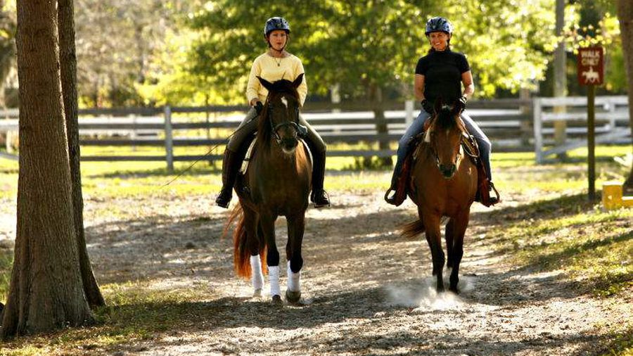 Pinellas Park Equestrians
