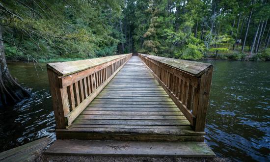 Lake Claiborne State Park fishing pier.jpg