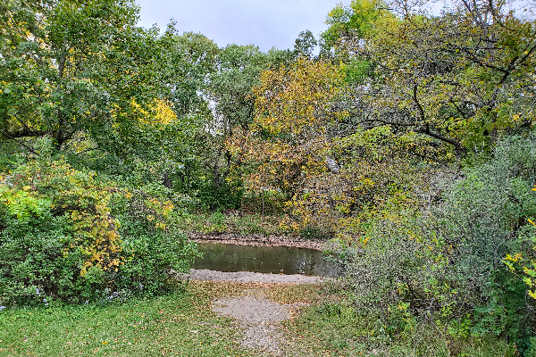 MacNider Woods2