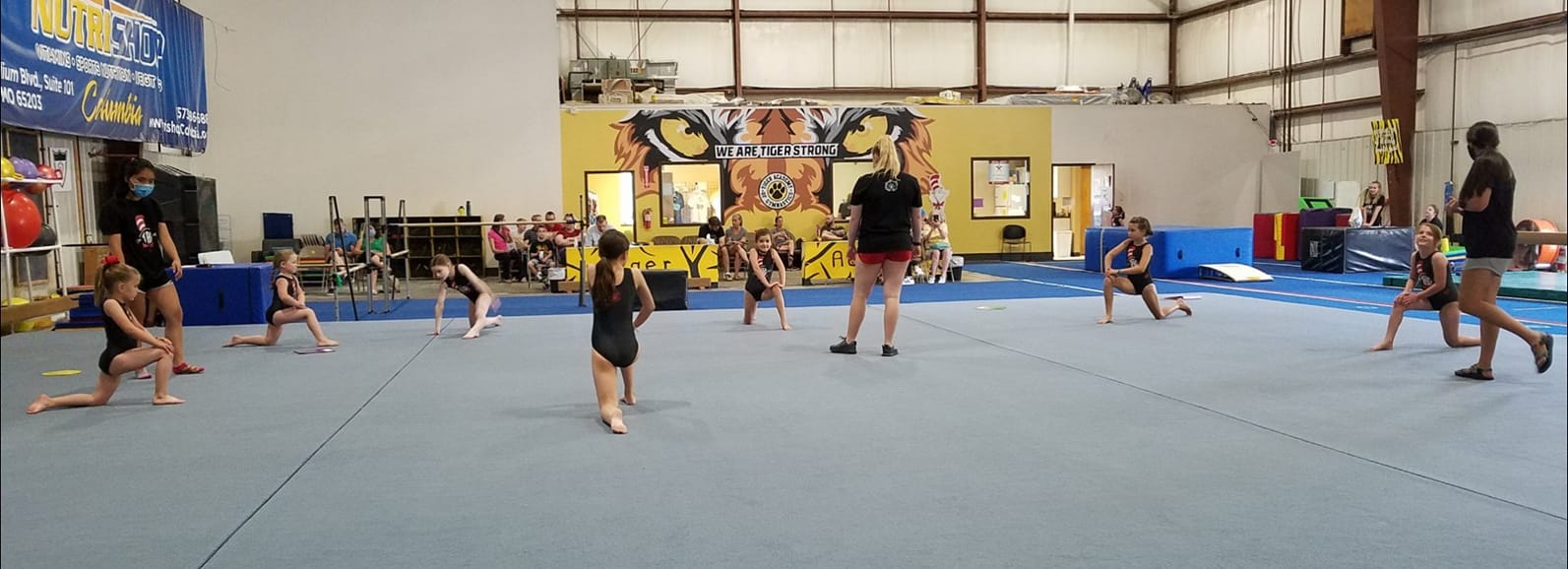 Tiger Academy of Gymnastics 4