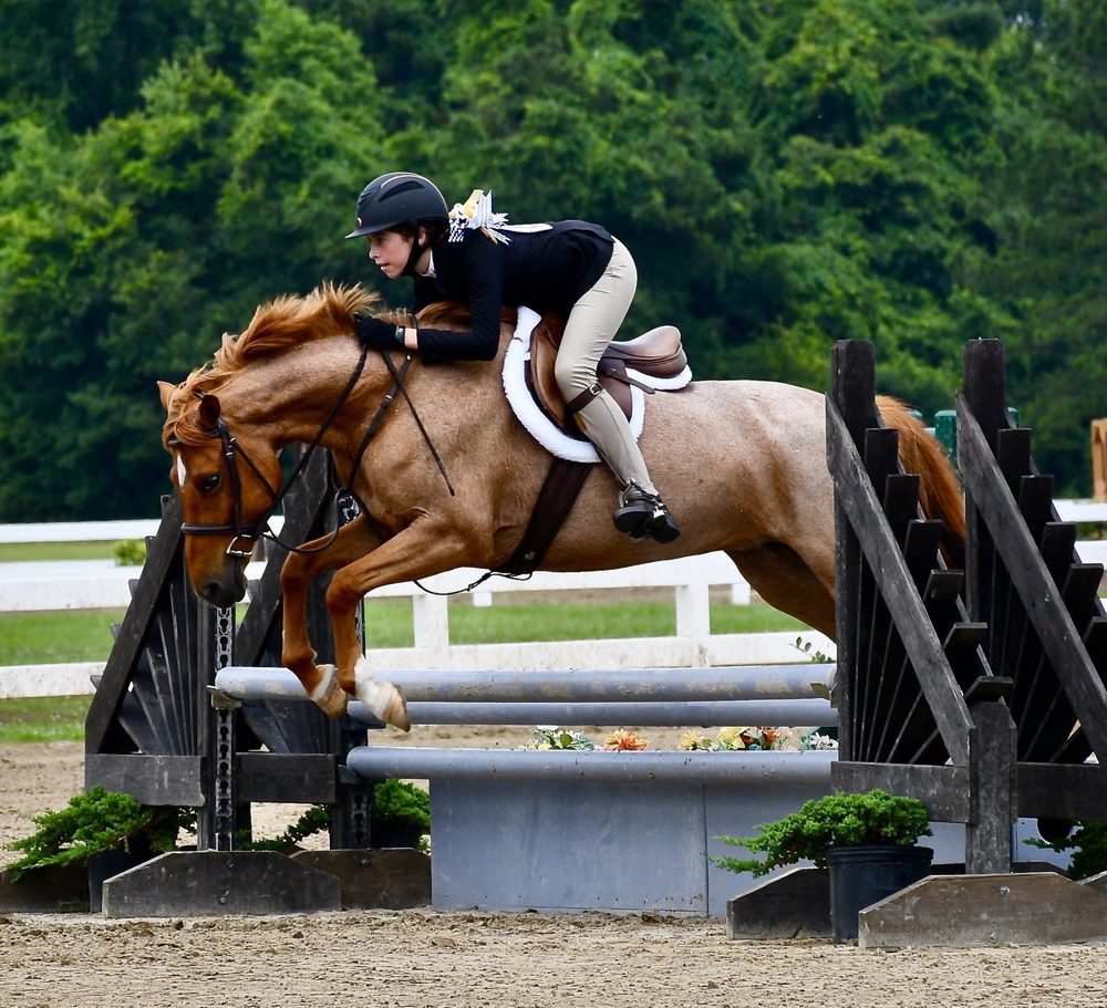 Mullet Hall Equestrian Center