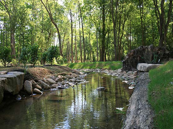 Midway Park
