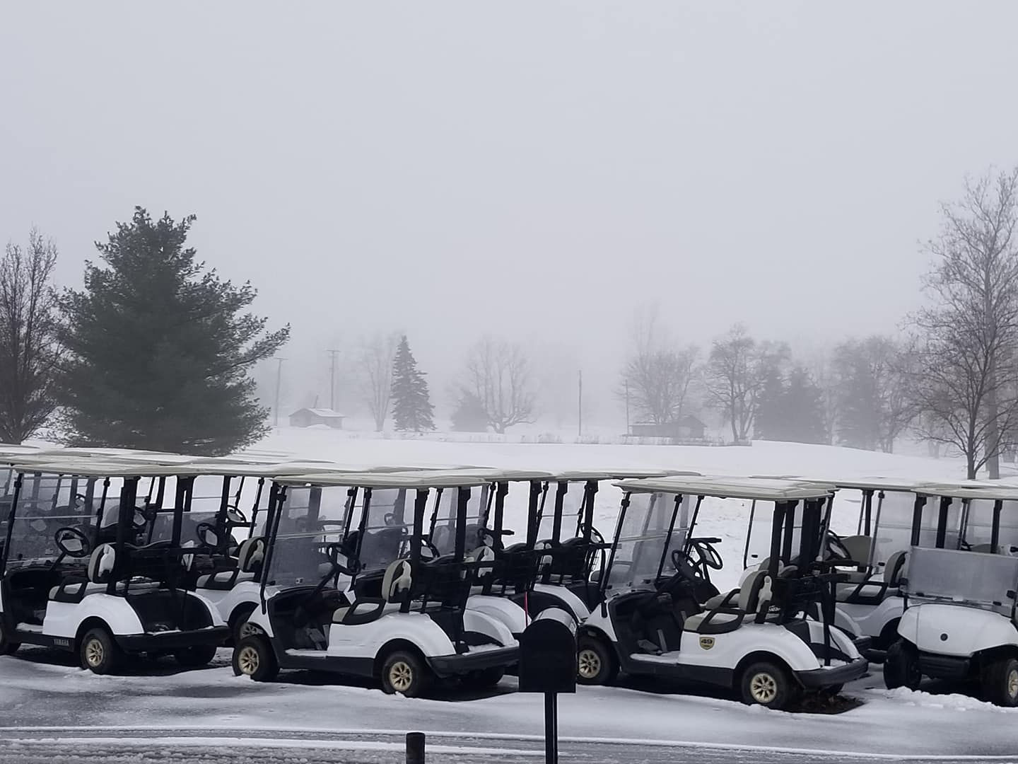 Bluffton Golf Club 1