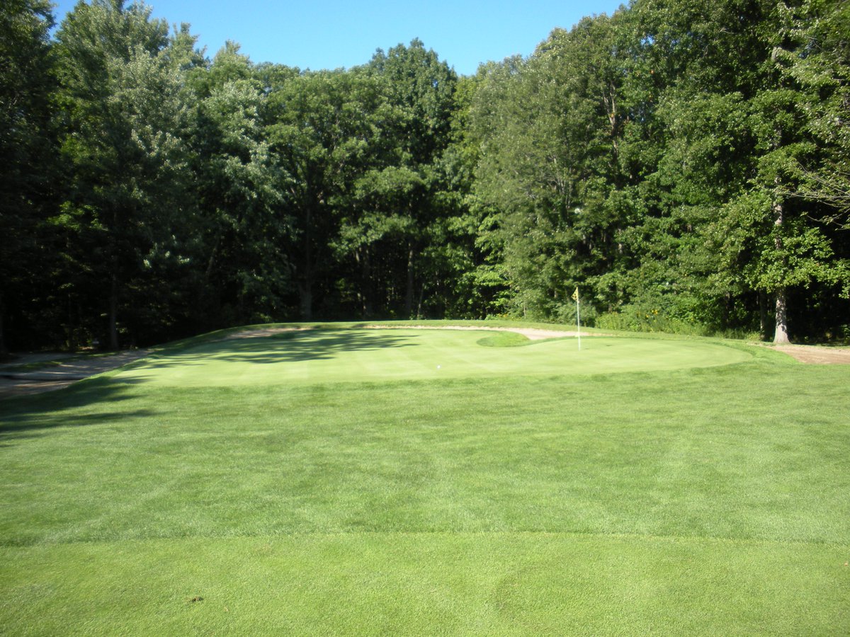 Michigan Meadows Golf Course 2