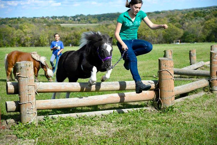 Longview Horse Park2