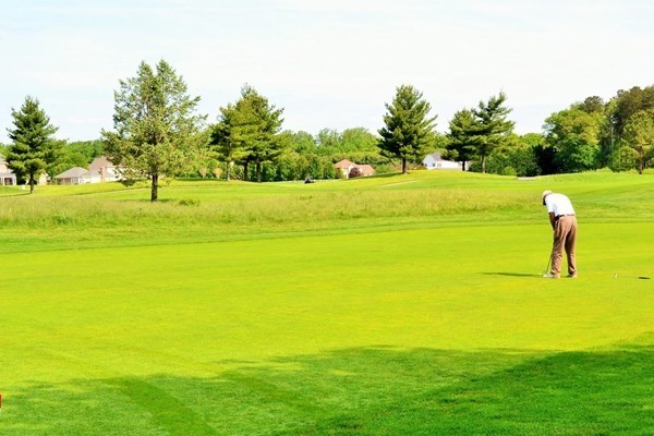 wild quail golf & country club 2
