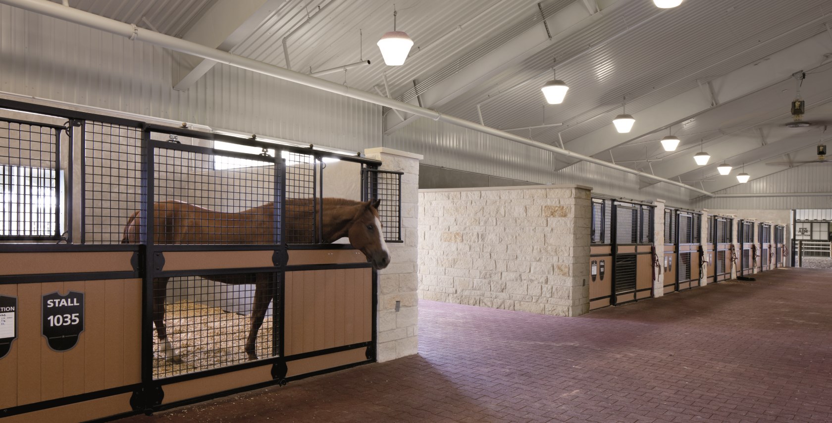 hildebrand equine complex horses.jpeg