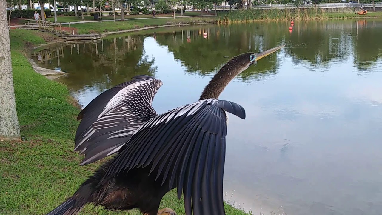 Reed Canal Park 5