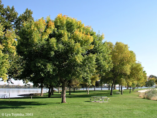 Two Rivers Park 6