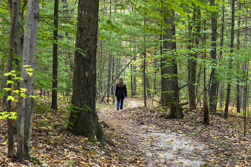 South Long Lake Forest Natural Area 2