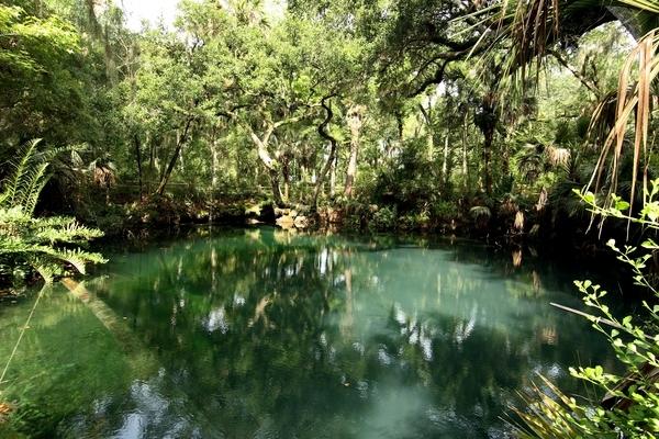 Green Springs Park10