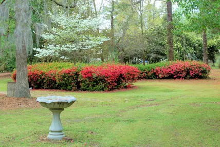 Lucas Park