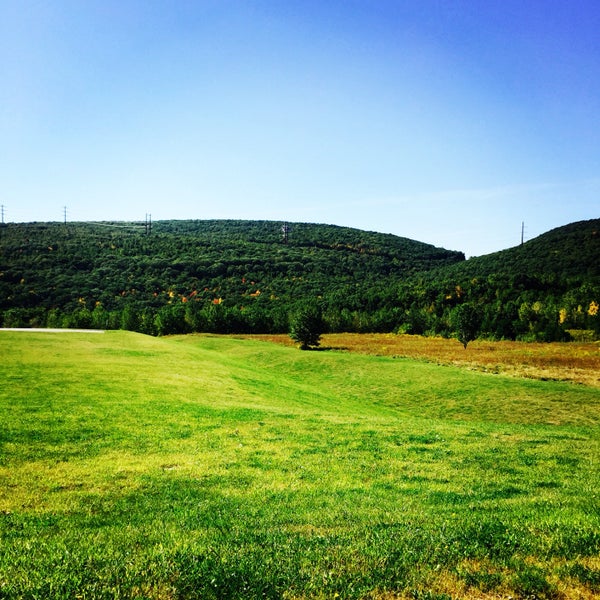 Ed Staback Park field.jpeg