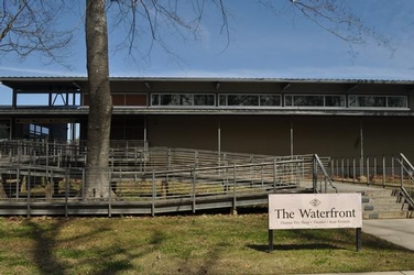 Goofwood park2 .jpg