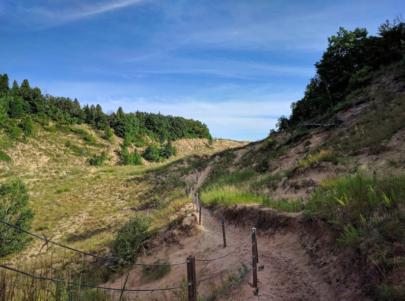 Arcadia Dunes 4