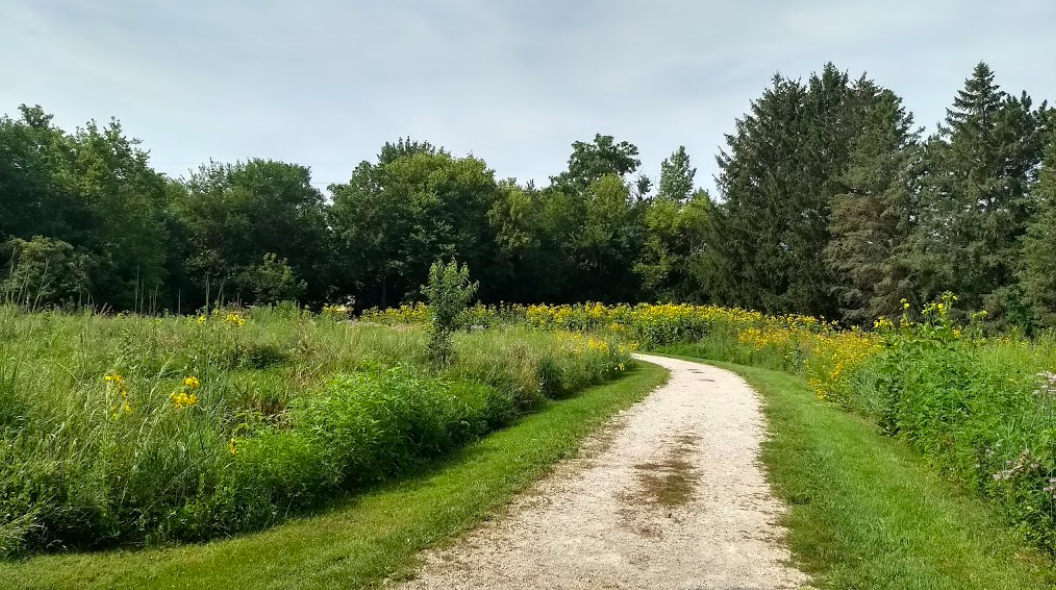 morgan creek park 4