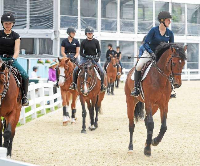 Devon Horse Show and Country Fair 2