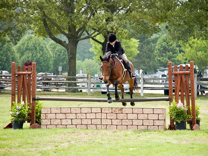Wicomico-Equestrian-800x600-1