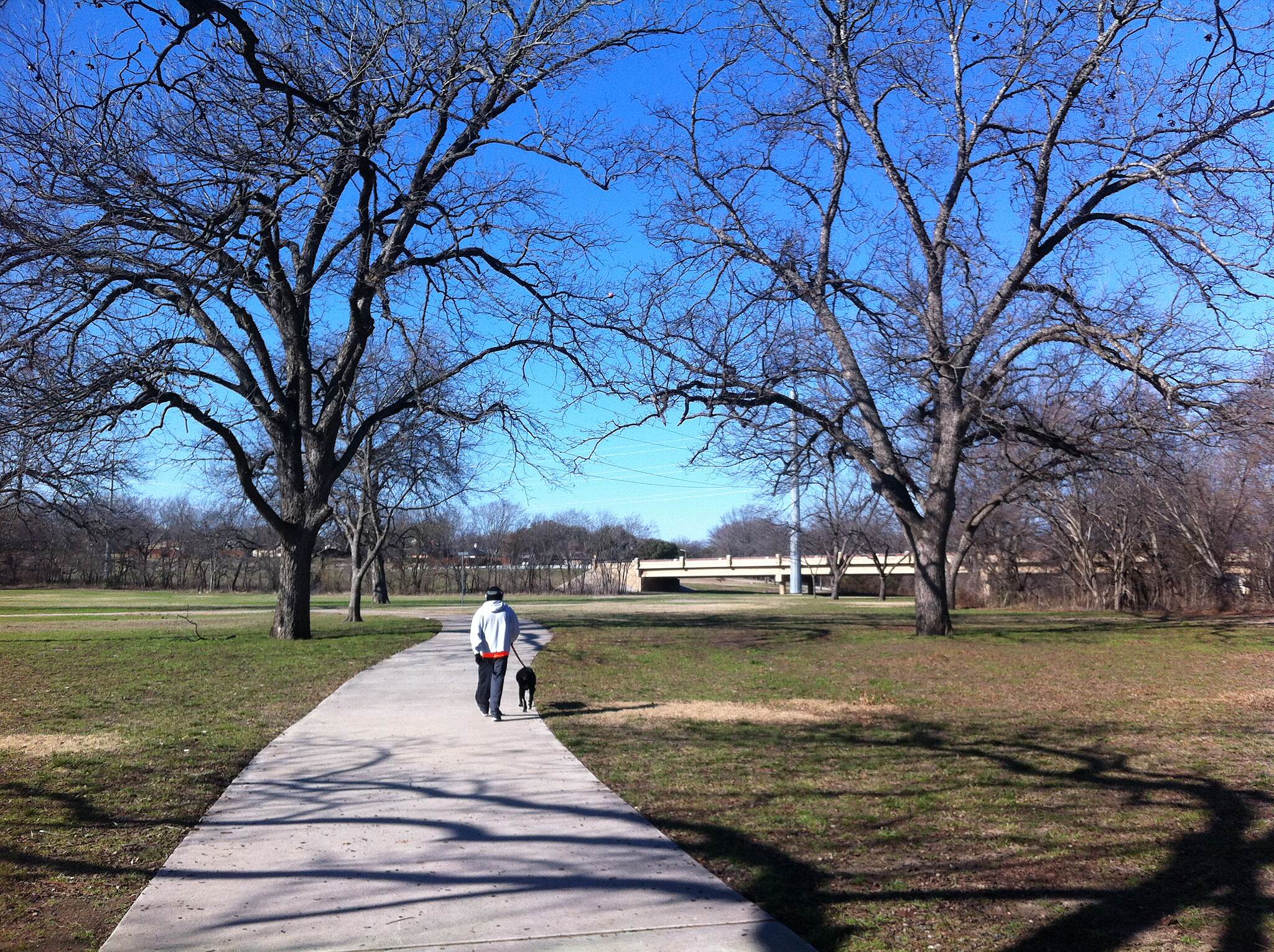Oak Point Park and Nature Preserve9